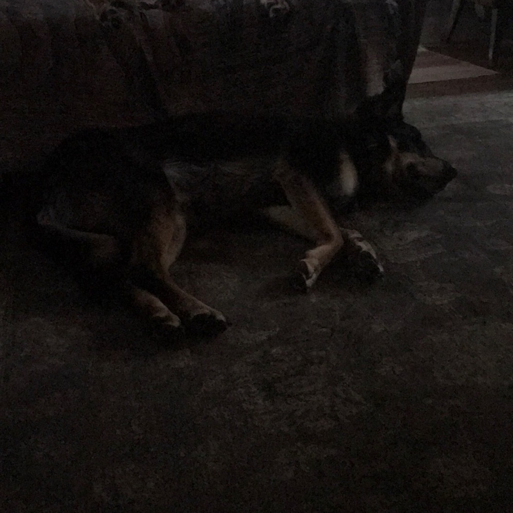 Meet your Posher, Kerry